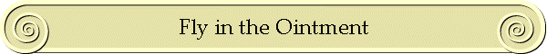 Fly in the Ointment