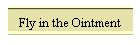 Fly in the Ointment