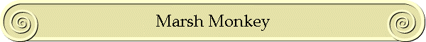 Marsh Monkey