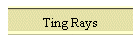 Ting Rays